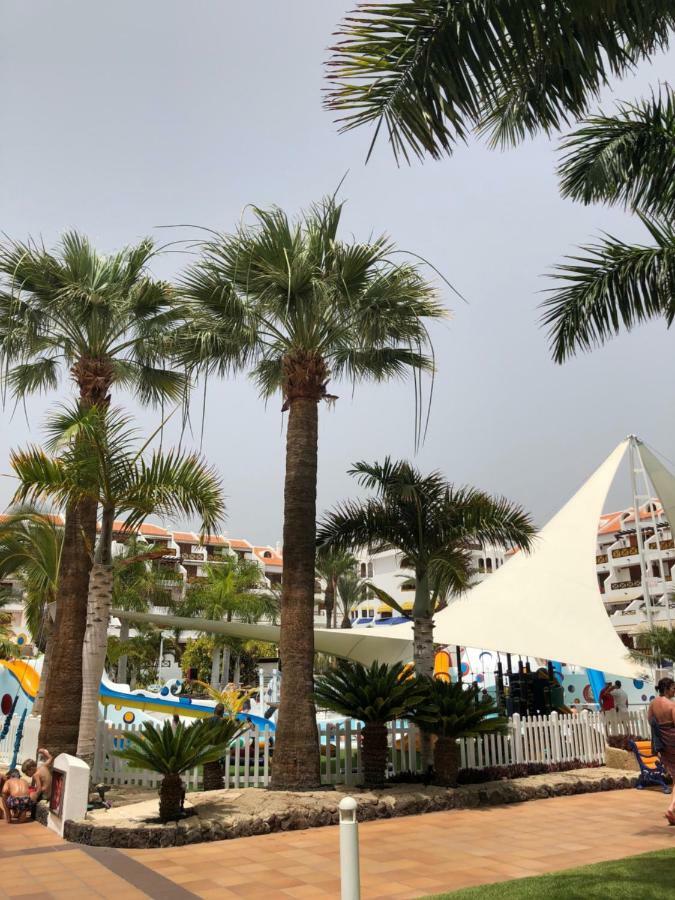 أرونا Beachfront Apartment المظهر الخارجي الصورة