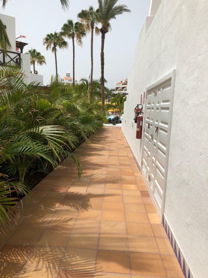أرونا Beachfront Apartment المظهر الخارجي الصورة